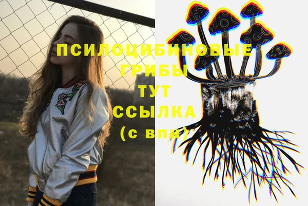 прущая мука Елизово