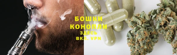 spice Ельня