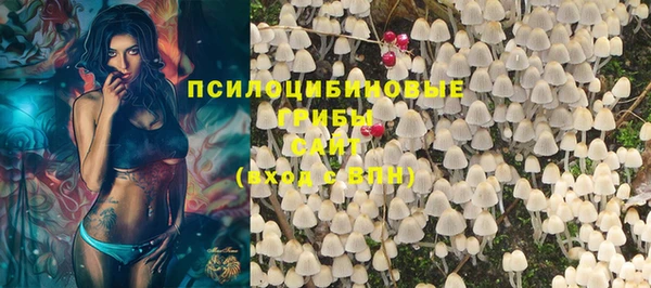 spice Ельня