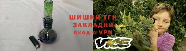 spice Ельня