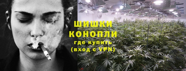 spice Елабуга