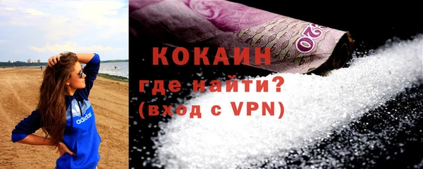 spice Ельня