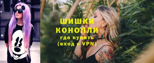 spice Елабуга