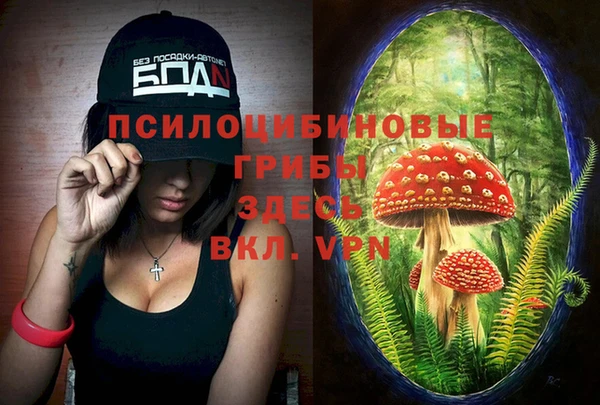 spice Ельня